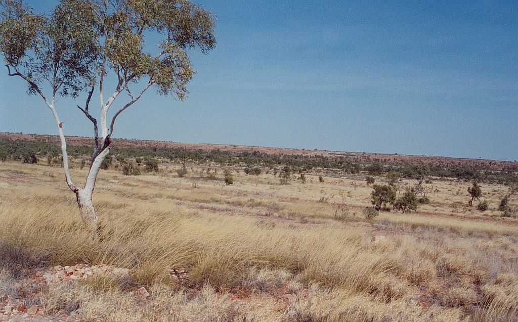 GARY COLQUHOUN TRAVEL 2002 TRIP TENNANT CREEK > THREE WAYS > ELLIOTT > DALY WATERS